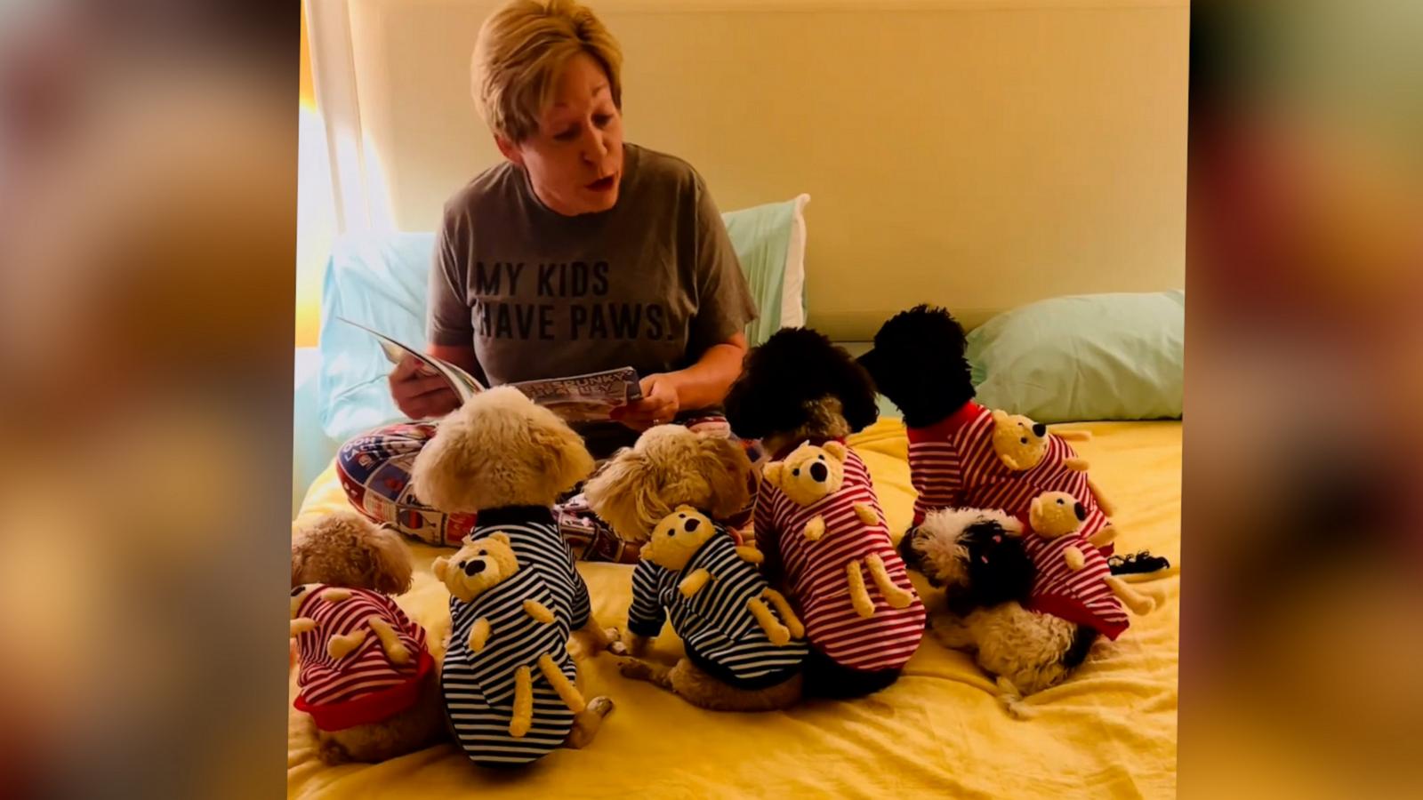 VIDEO: 6 dogs adorably listen intently to mom as she reads them a bedtime story