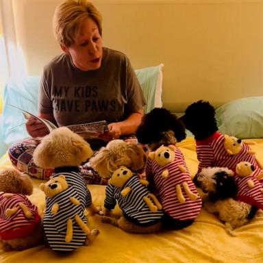 VIDEO: 6 dogs adorably listen intently to mom as she reads them a bedtime story 