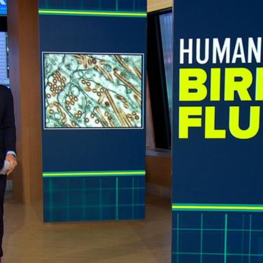 VIDEO: Human infected with bird flu dies