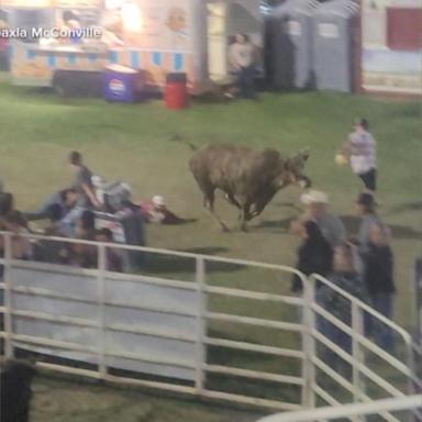 VIDEO: Bull rampage at Oregon rodeo