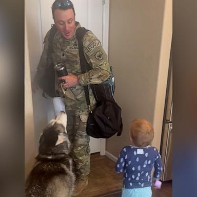 VIDEO: Husky and toddler really want military dad to stay home