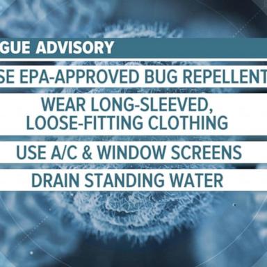 VIDEO: CDC warns of increased risk of dengue virus this summer