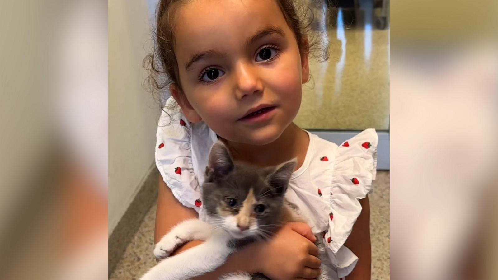 VIDEO: 3-year-old chose the sick kitten at the shelter. Now they sleep together nightly