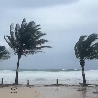 VIDEO: Beryl strengthens into Category 5 storm