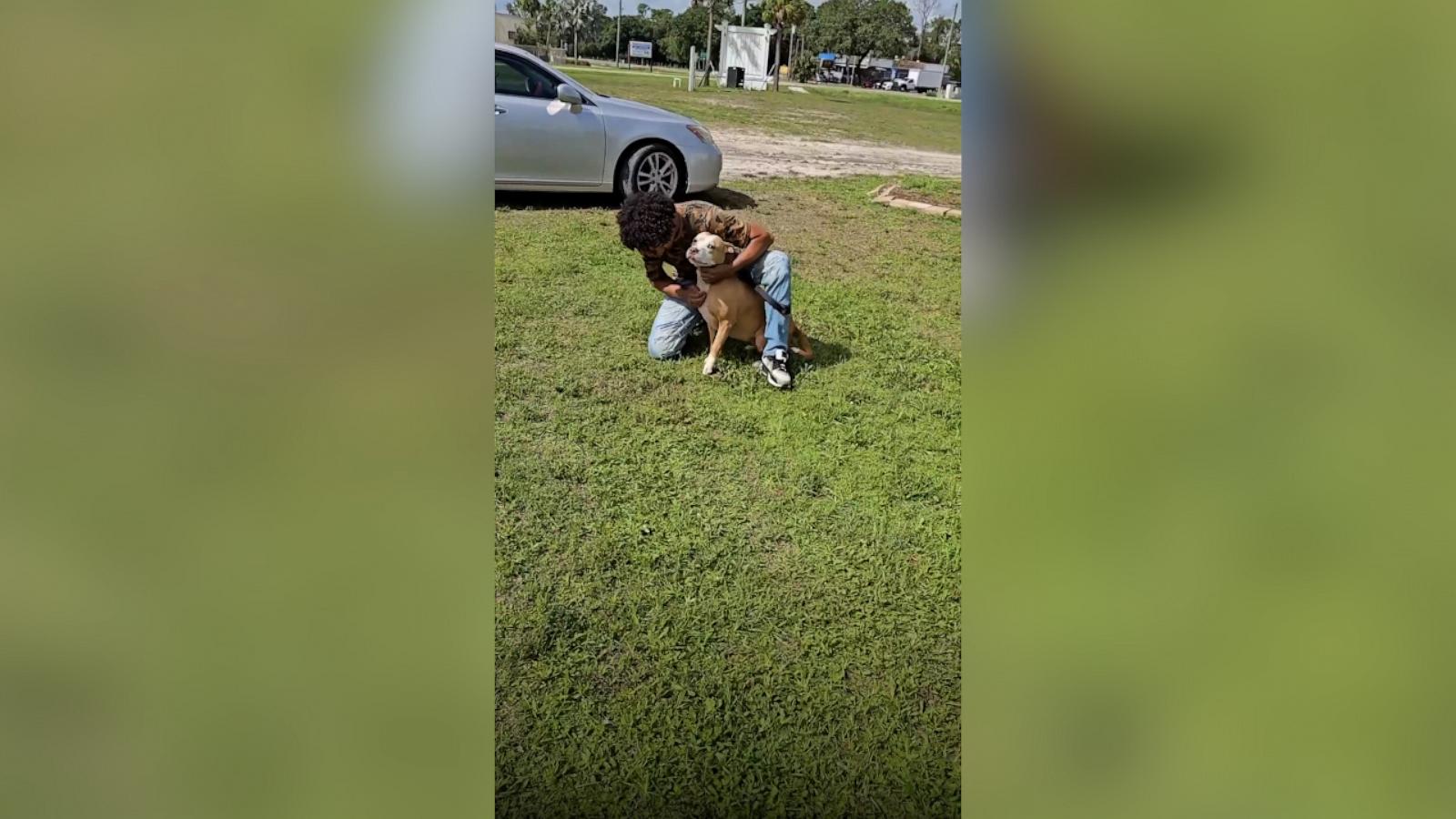 VIDEO: Owners reunite with dog 2 years after she went missing