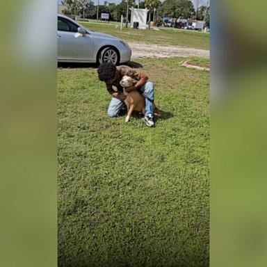 VIDEO: Owners reunite with dog 2 years after she went missing