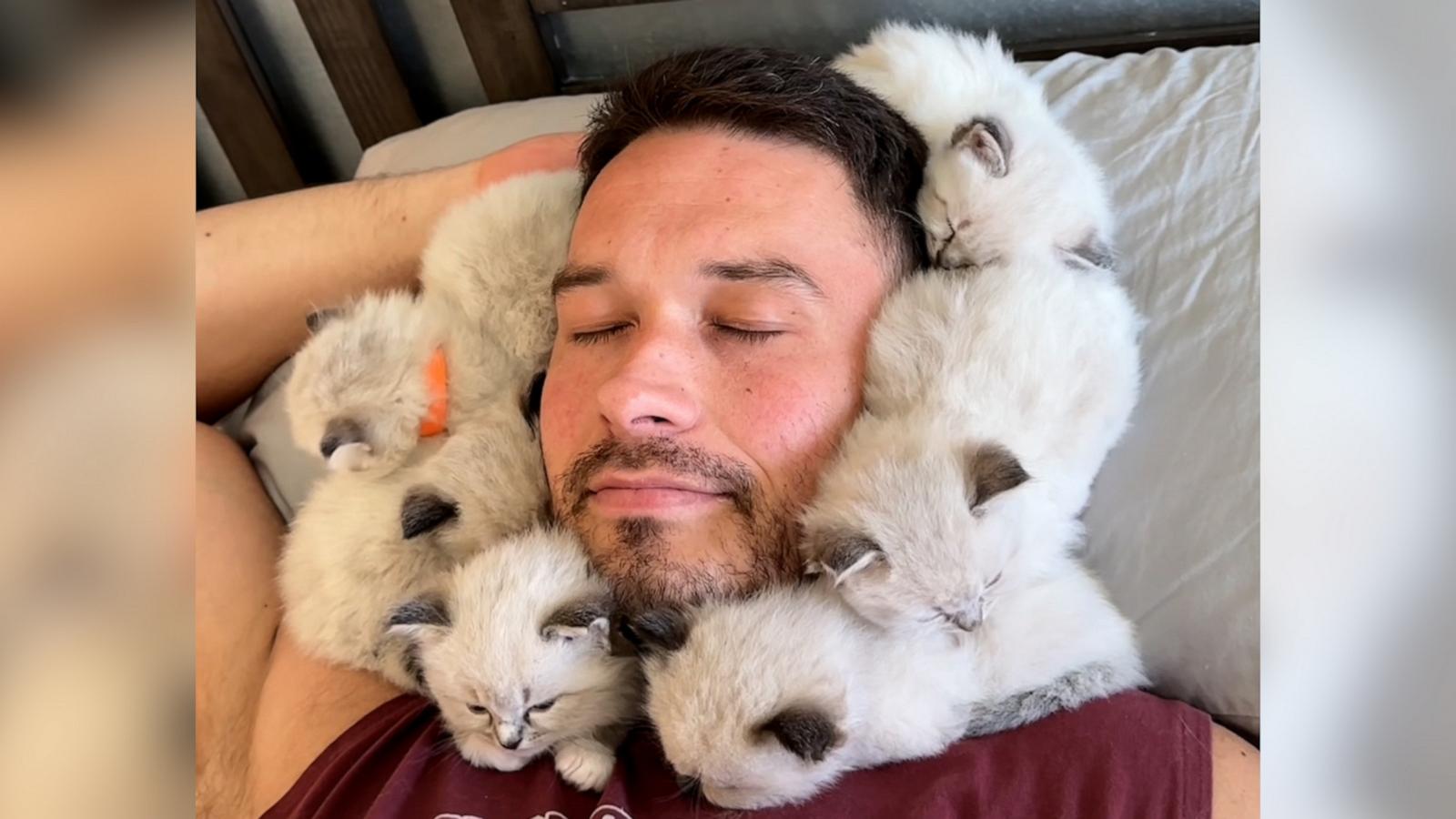 VIDEO: Adorable kittens form the cutest pillow