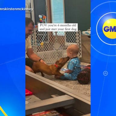 VIDEO: Infant meets new puppy