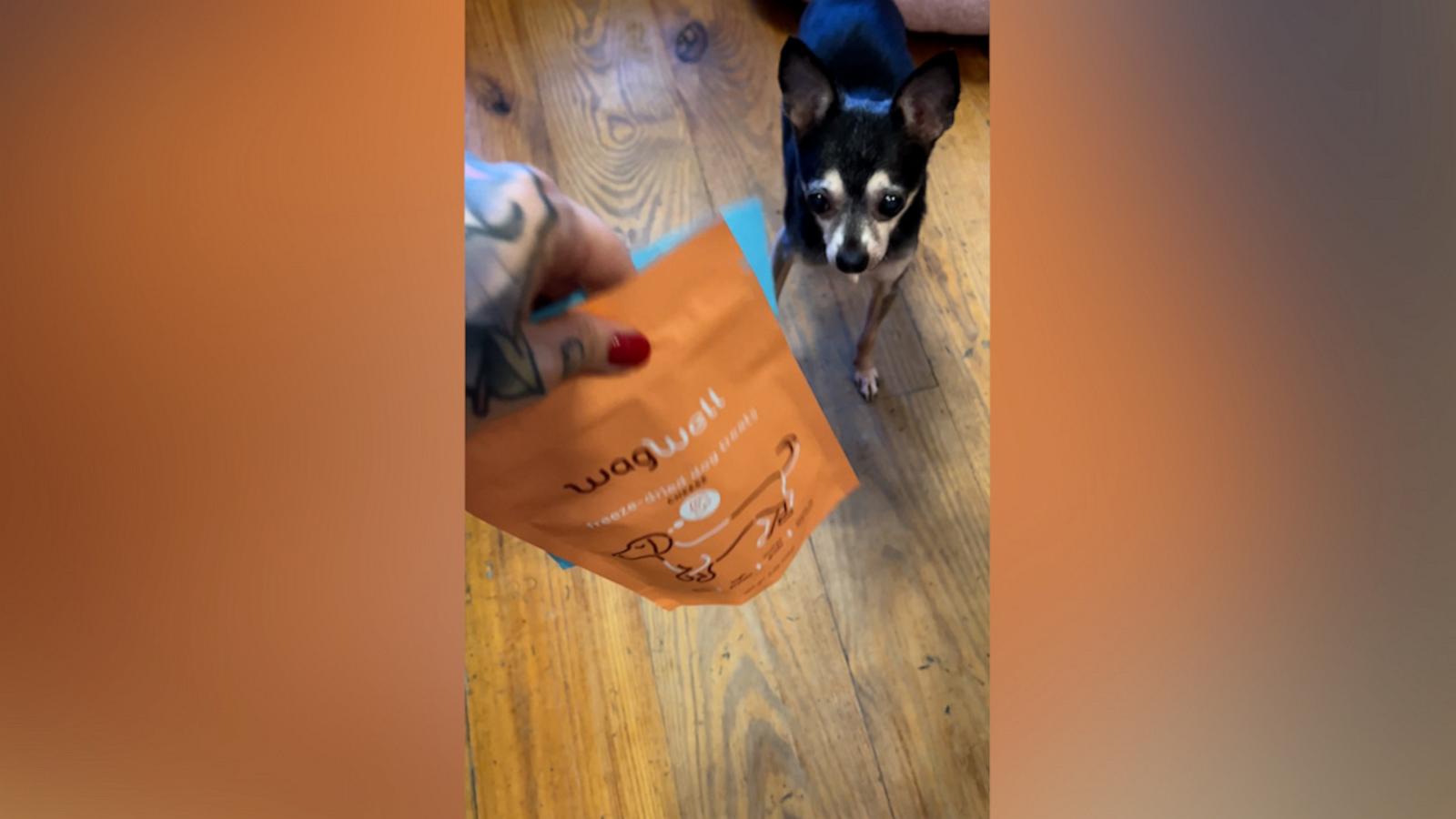 Kelsey Chapman, eCommerce writer at "Good Morning America," tried out the Wagwell Freeze Dried Dog Treats with her senior pups.