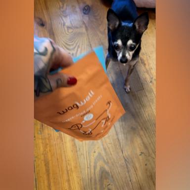 Kelsey Chapman, eCommerce writer at "Good Morning America," tried out the Wagwell Freeze Dried Dog Treats with her senior pups. 