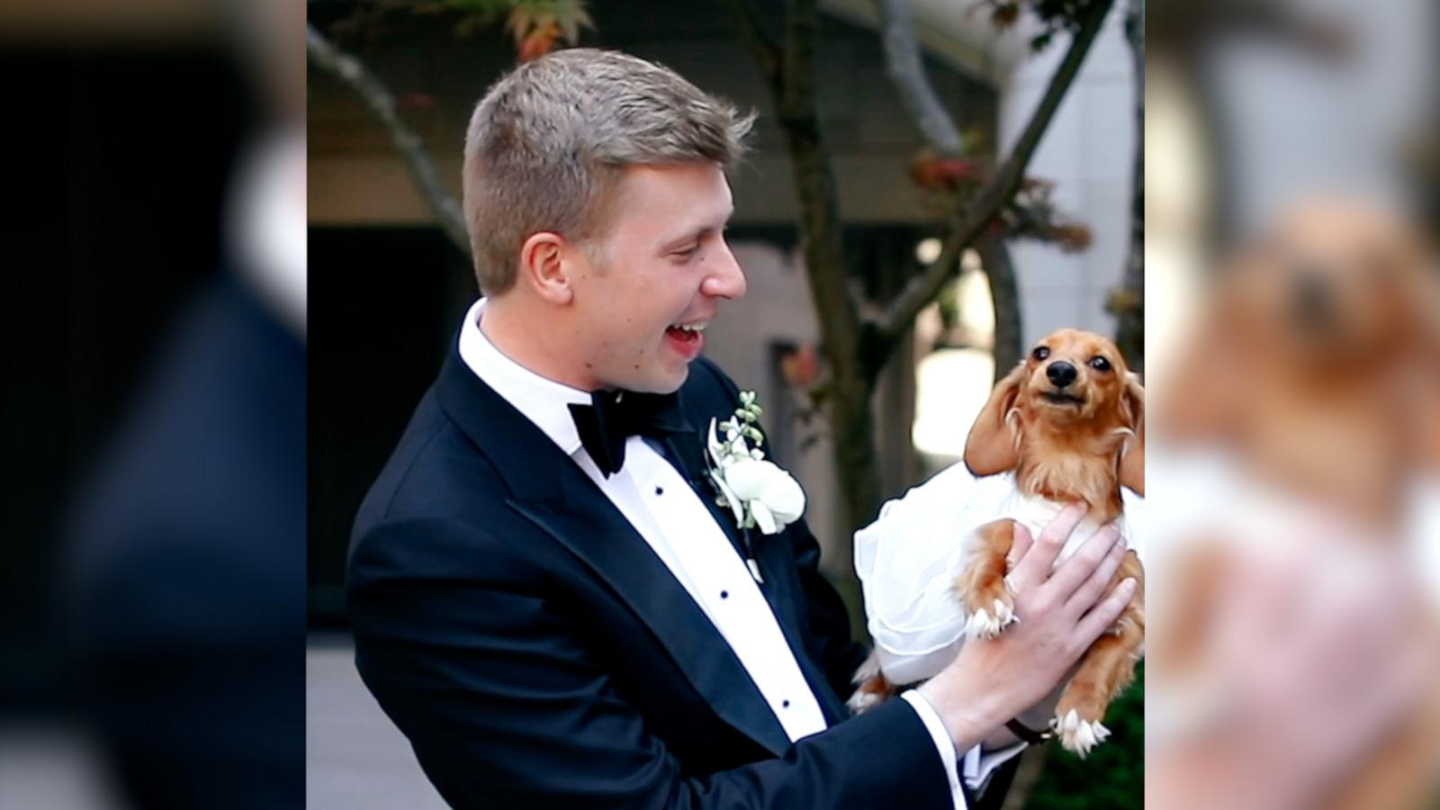 "It couldn't have been a wedding without Pennie included," bride Madeline Meineke told "GMA" of the dog.