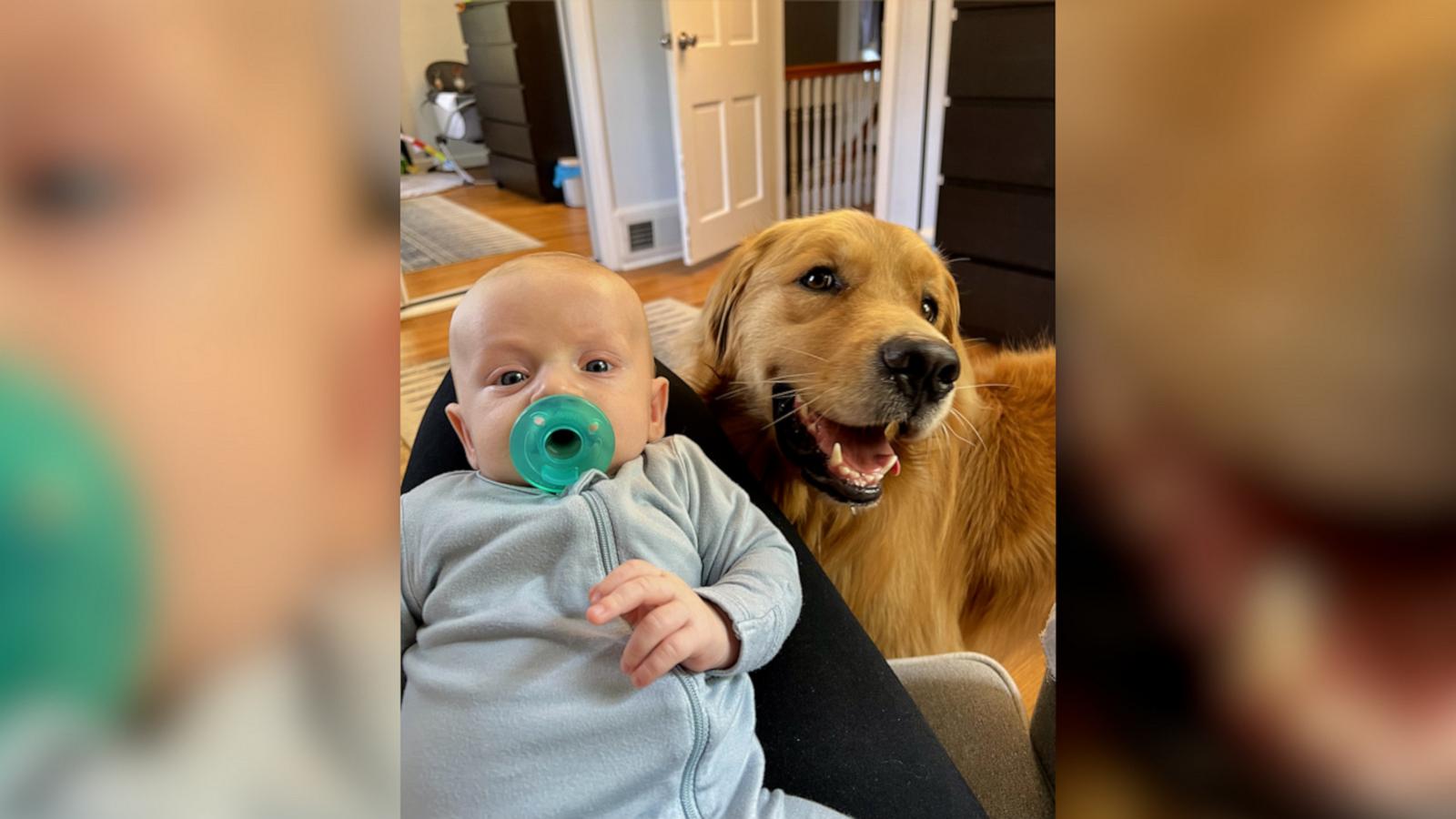 VIDEO: Golden retriever and baby have the sweetest friendship