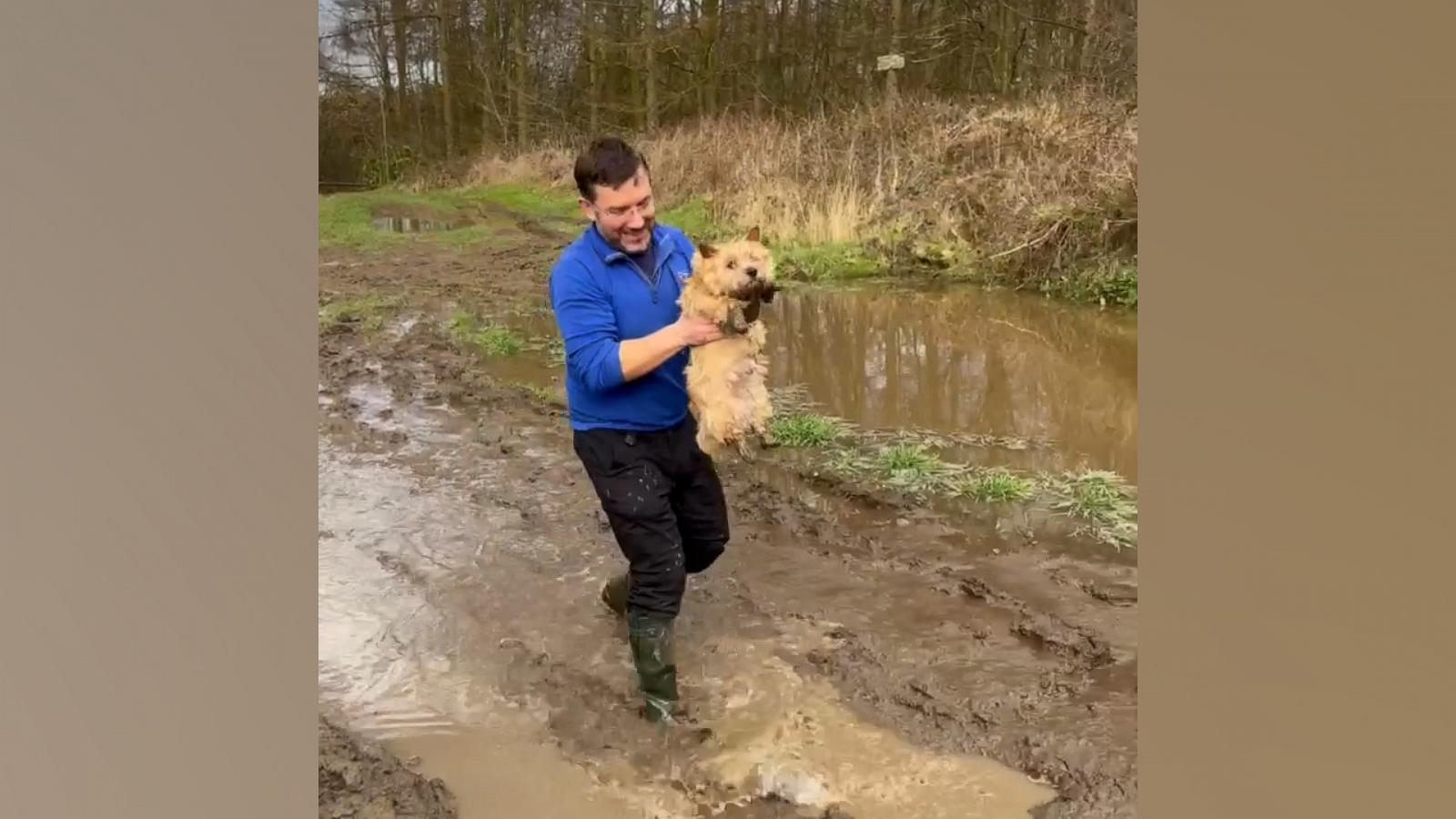 This dog adorably air paddled as its owner carried her over a big mud ...