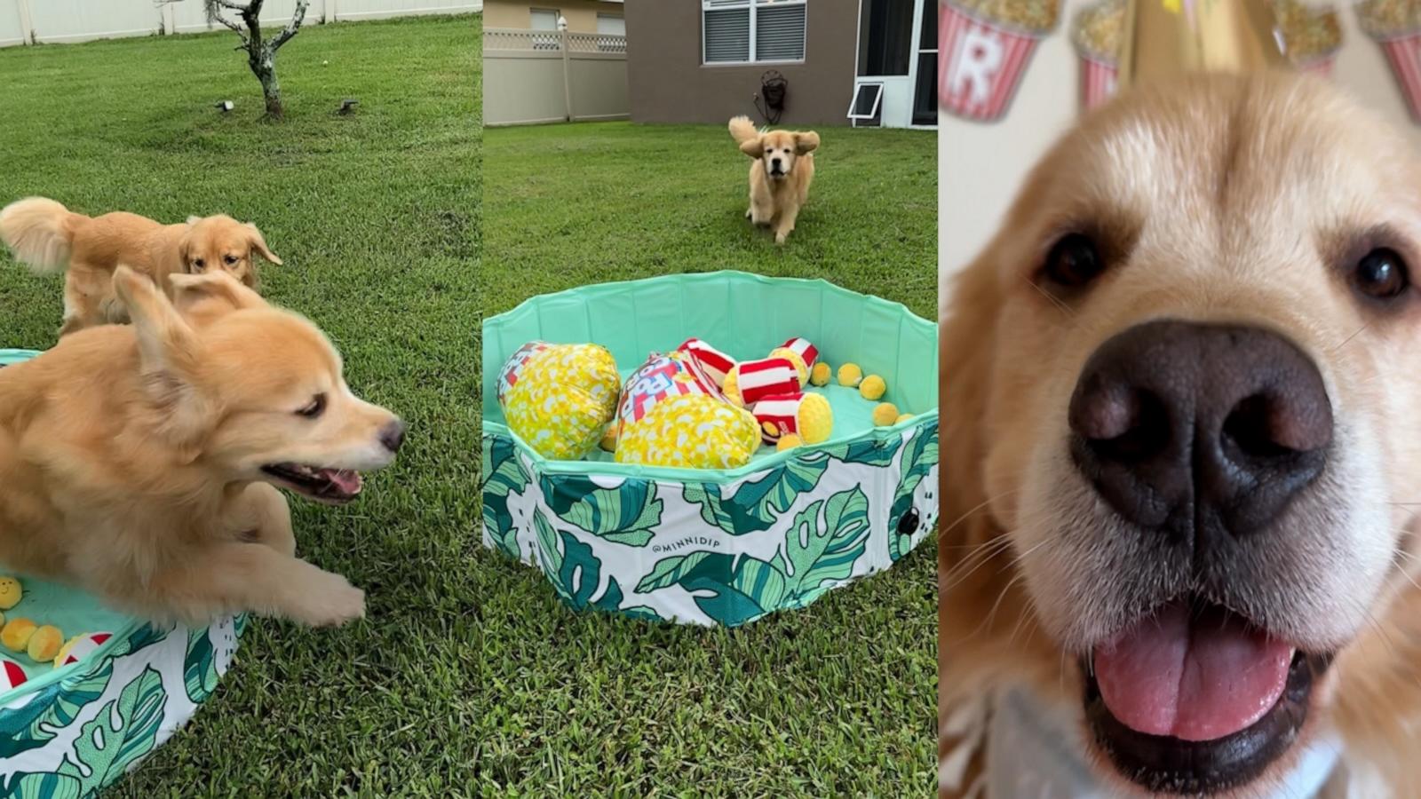 Finn had the cutest popcorn-themed birthday party.