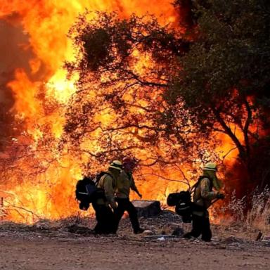 VIDEO: California declares state of emergency for out of control wildfires