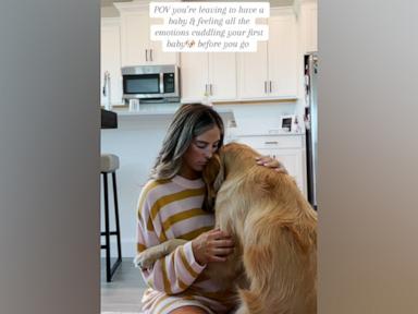 WATCH:  Woman and her golden retriever share sweet embrace at home before her son is born