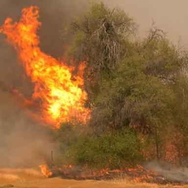 VIDEO: Park Fire spreads as temperatures rise