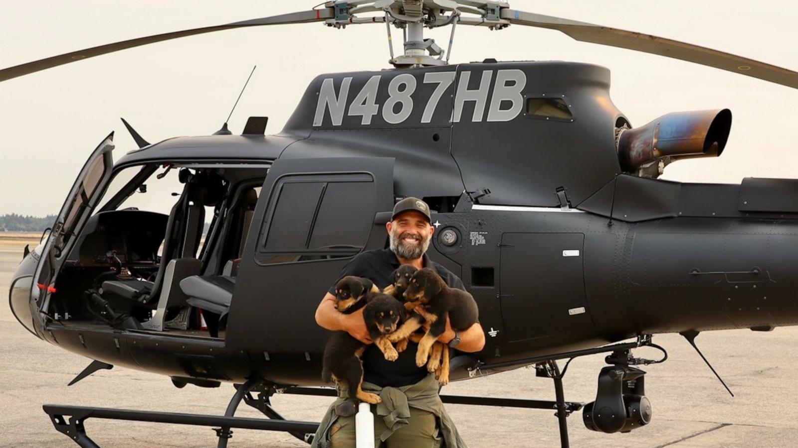 The dogs were alone for four days after their owner's car broke down during an urgent evacuation amid the California wildfire and were eventually rescued by helicopter.