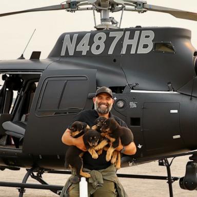 The dogs were alone for four days after their owner's car broke down during an urgent evacuation amid the California wildfire and were eventually rescued by helicopter.