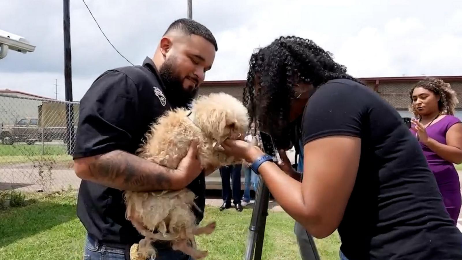 VIDEO: Dog reunites with owner after being found 350 miles away