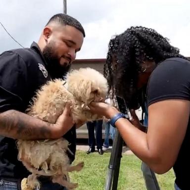 VIDEO: Dog reunites with owner after being found 350 miles away