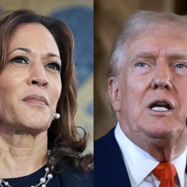 VIDEO: Trump says he will take part in ABC News September debate against Harris