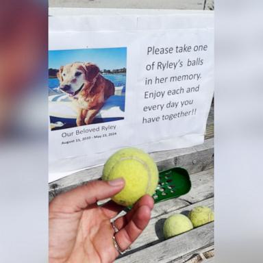 VIDEO: Dog owner leaves special beach memorial for late pup