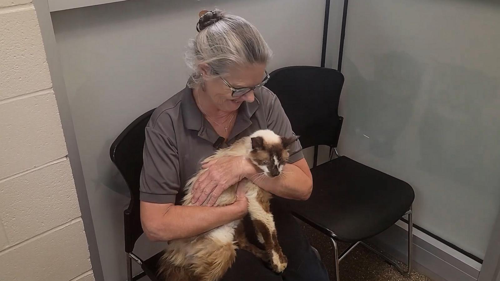 Jennifer Ravenel had an emotional reunion with her long-lost cat Sam after he disappeared from her home.