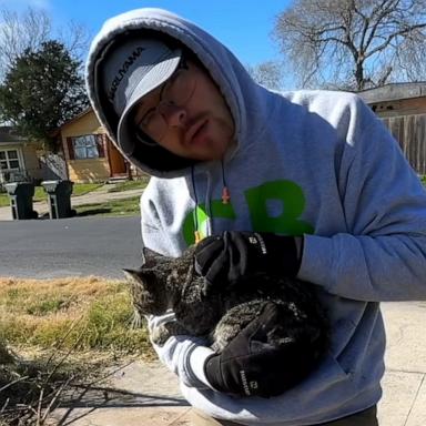 VIDEO: Landscaper raises over $180K for cat shelter that saved injured feline