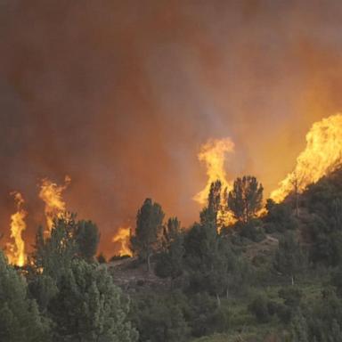 VIDEO: Explosive California wildfire forces hundreds of evacuations