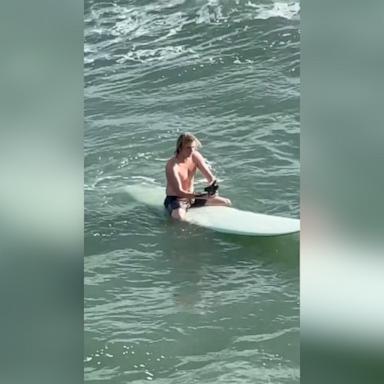 VIDEO: Watch this surfer rescue a bird stuck in the ocean