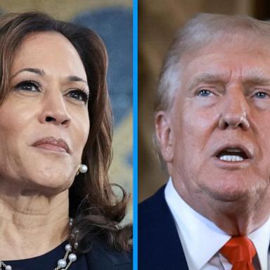 VIDEO: Trump rejects new debate against Harris