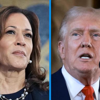 VIDEO: Harris, Trump lay out dueling visions on the economy 