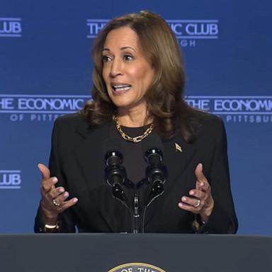 VIDEO: Harris lays out economic vision