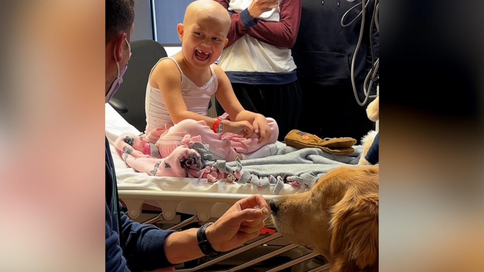 VIDEO: 5-year-old with leukemia gets unforgettable visit from golden retriever therapy dogs