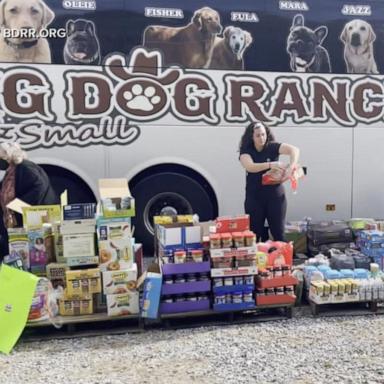 VIDEO: Big Dog Ranch Rescue helping pet families hard-hit by Helene