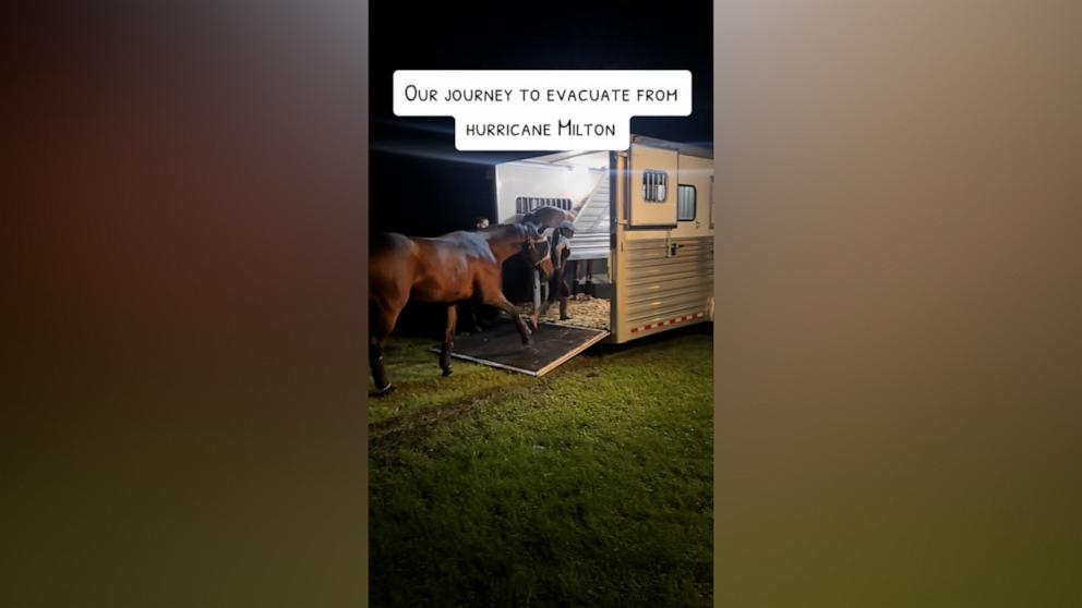 Marjory Berkache of EquiSale Sport Horses drove her horses to safety in the middle of the night after someone in the community offered up their farm in Tallahassee to keep them safe.