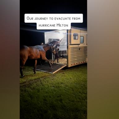 Marjory Berkache of EquiSale Sport Horses drove her horses to safety in the middle of the night after someone in the community offered up their farm in Tallahassee to keep them safe.