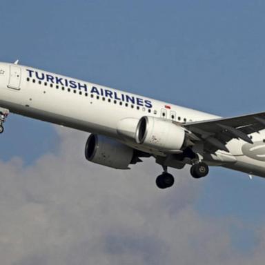 VIDEO: Turkish Airlines jet makes emergency landing at JFK after pilot dies mid-air