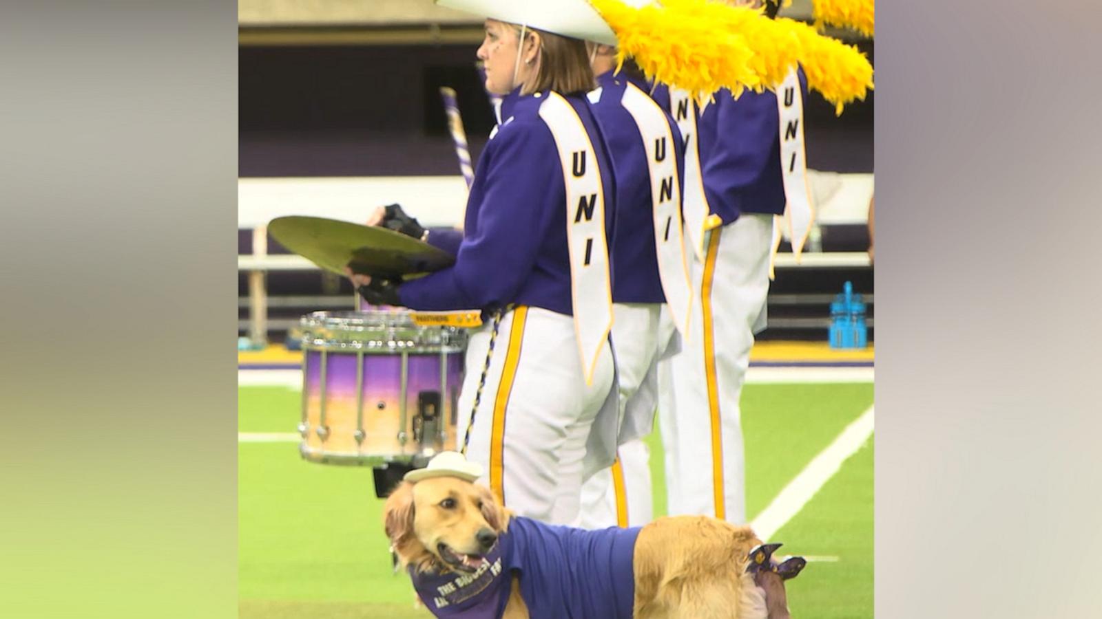 Winnie is a service dog who helps her owner, Gabi Riessen, navigate life -- and band -- with postural orthostatic tachycardia syndrome, also known as POTS.