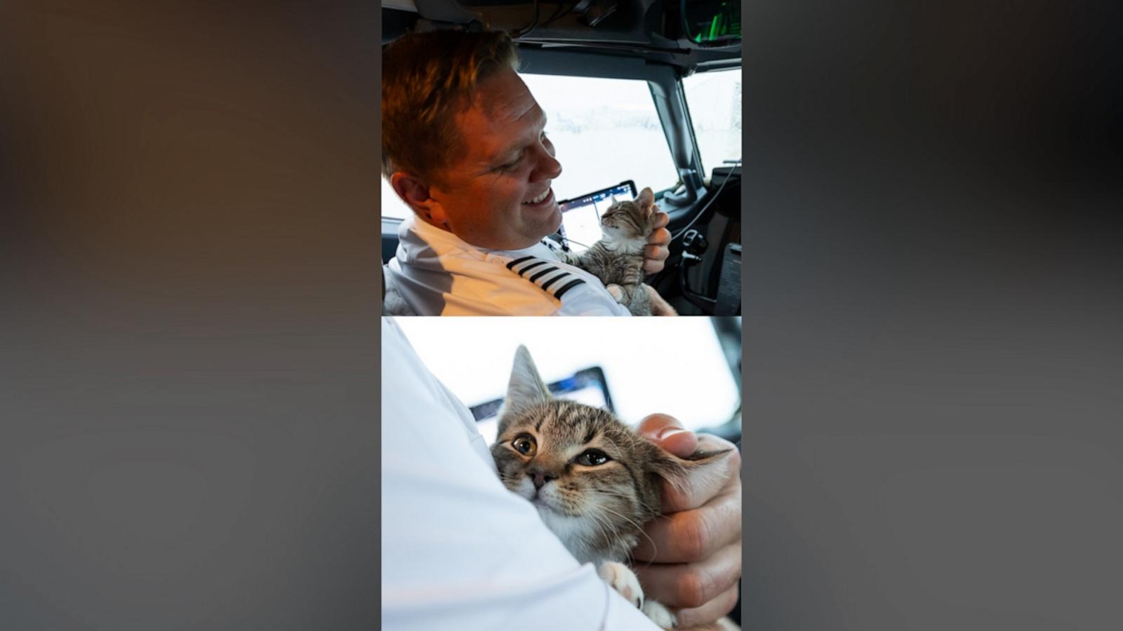 Southwest Airlines Captain Matt Prebish piloted the emergency flight on Oct. 12. Then, one little fellow caught his attention.