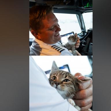 Southwest Airlines Captain Matt Prebish piloted the emergency flight on Oct. 12. Then, one little fellow caught his attention.