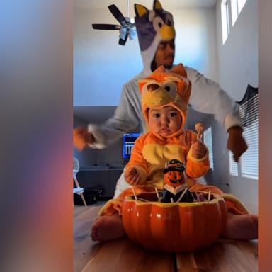 From “Bluey” to “Scooby Doo,” popular content creator @vibin.wit.tay and his daughter have the best costumes in their viral dance videos.