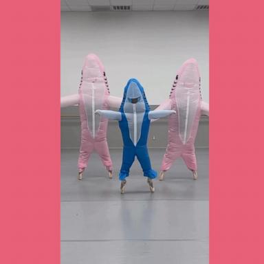 Dancers at Ballet Etudes Academy in Mesa, Arizona, danced in shark costumes to celebrate Halloween. 