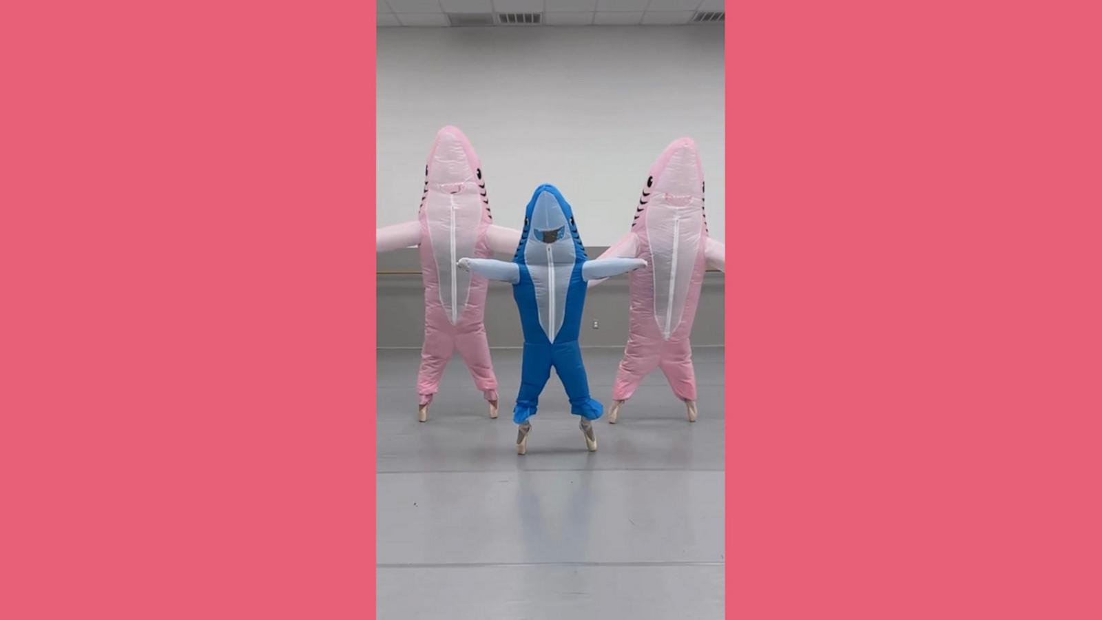 Dancers at Ballet Etudes Academy in Mesa, Arizona, danced in shark costumes to celebrate Halloween.