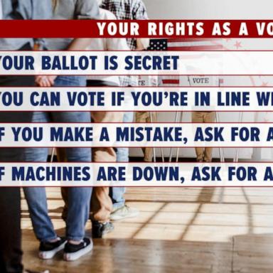 VIDEO: What your rights are as a voter