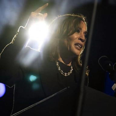 VIDEO: Harris falls short in battleground states as final results come in