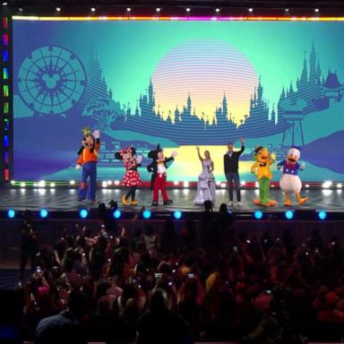 VIDEO: Celebrating D23 expo in Brazil