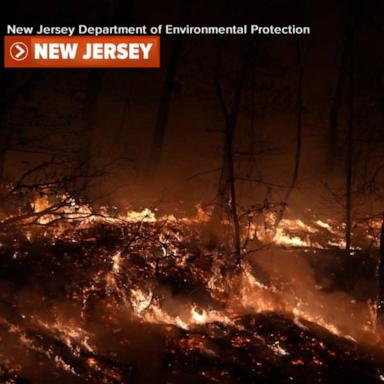 VIDEO: Wildfires rage on the East Coast