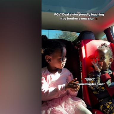 Watch this little girl teach her brother how to sign 'bird'